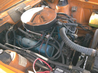 Illustration for article titled Is a bug free gremlin > gremlin free bug? 63K AMC Gremlin V8.